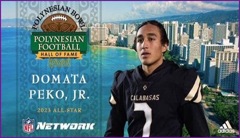 Domata Peko [2023 Update] - Net Worth